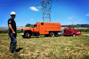 Tree Care in Camas