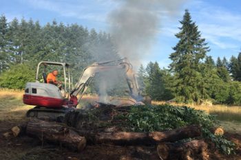 tree care vancouver wa