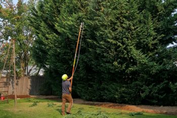 Tree Service Salmon Creek