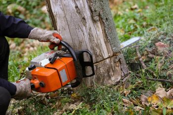 Tree Removal Service Vancouver WA