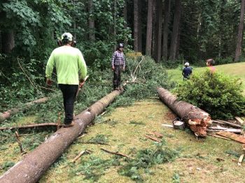 Land Clearing Services Battle Ground WA