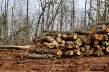 Land Clearing Vancouver WA