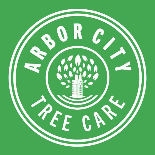 Tree Service in Vancouver WA from Arbor City Tree Care