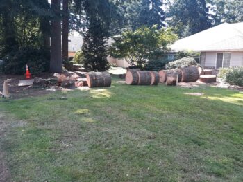 Tree Removal Vancouver WA