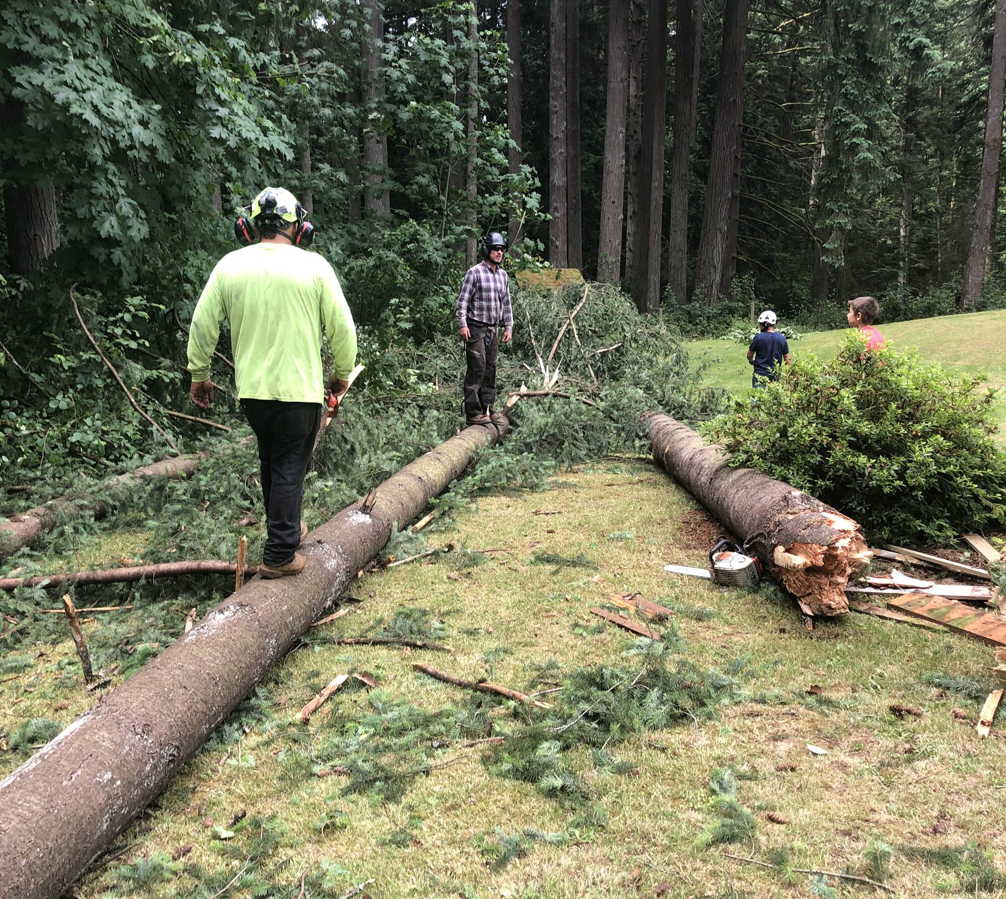 Tree Service Vancouver In WA