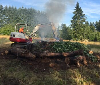 Tree Service In Vancouver WA