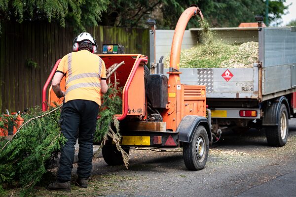 Tree Service Near Me Vancouver Wa