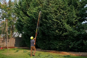 Tree Trimming Near Me La Center WA