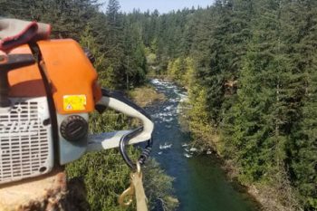 Emergency Tree Service Vancouver WA