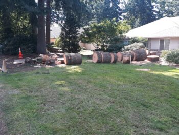 Tree Service in Vancouver WA