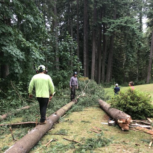 The Process Of Clearing Land