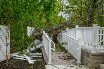 Tree Service Vancouver WA