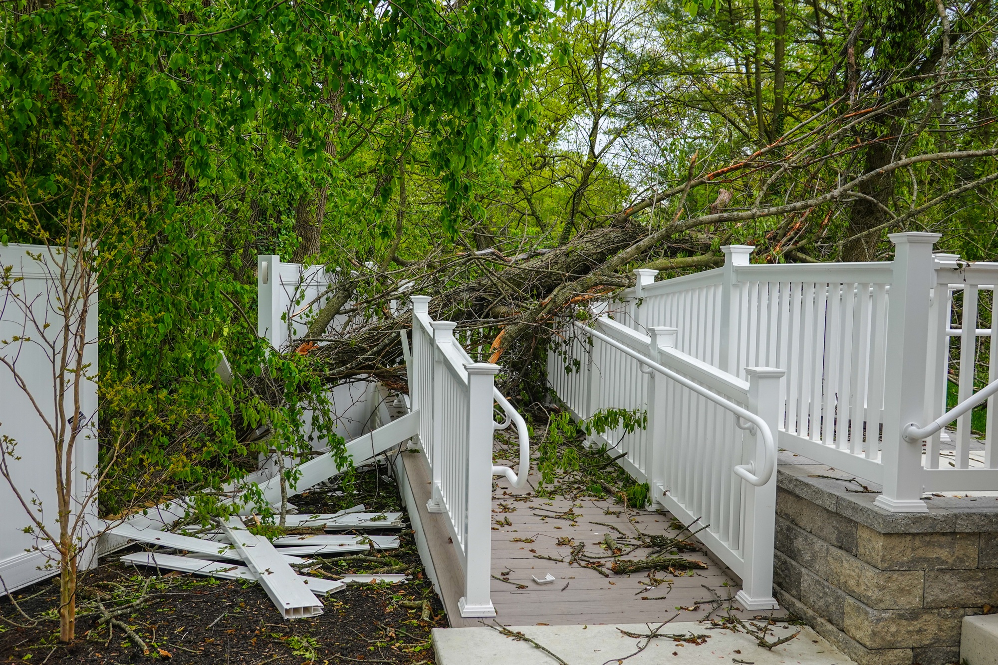 Tree Service Vancouver WA Tree Service Vancouver WA