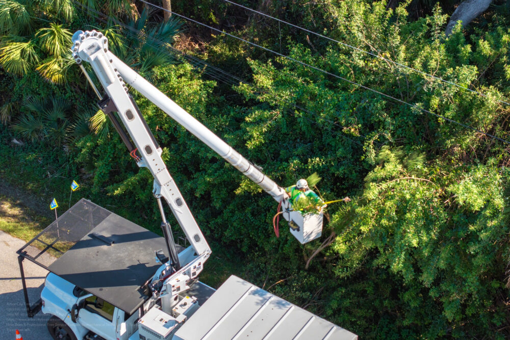 Tree Service near me Vancouver WA